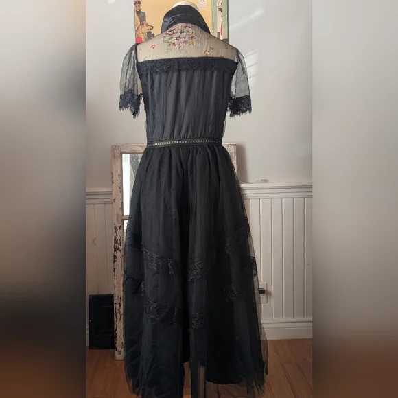 Elegant Black Sheer Dress - Picture 6 of 10